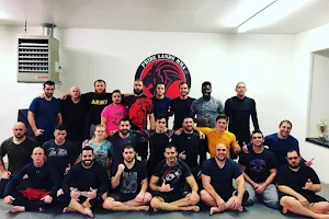 Pride Lands MMA Academy image