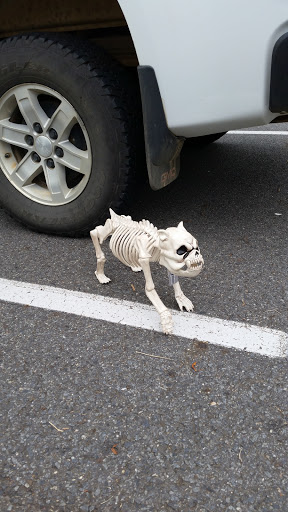 Fabric Store «Jo-Ann Fabrics and Crafts», reviews and photos, 2616 S Shackleford Rd a, Little Rock, AR 72205, USA