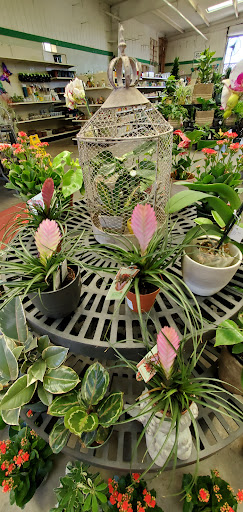 Hardware Store «Payless Hardware, Rockery and Nursery», reviews and photos, 2927 King Rd, San Jose, CA 95122, USA