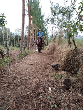 San Antonio Mariscal Benavides