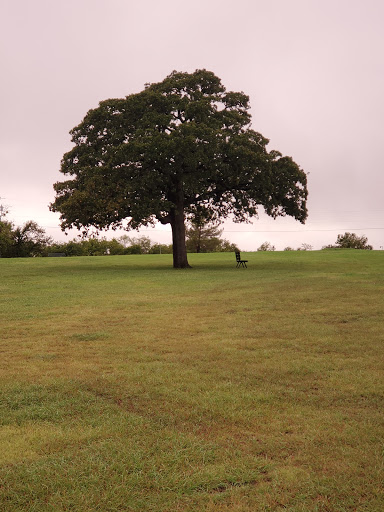 Buena Vista Park