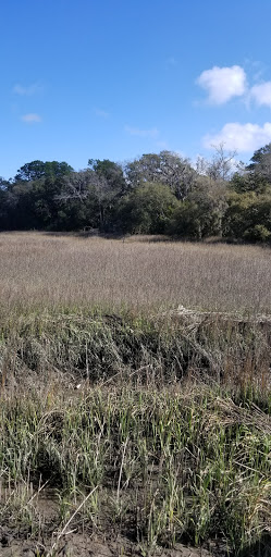 Museum «Coastal Discovery Museum», reviews and photos, 70 Honey Horn Dr, Hilton Head Island, SC 29926, USA
