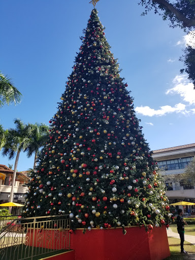 Movie Theater «Landmark Theatres At Shops Of Merrick Place», reviews and photos, 358 San Lorenzo Ave #3005, Coral Gables, FL 33146, USA