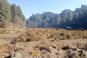 Post Office Ziro image