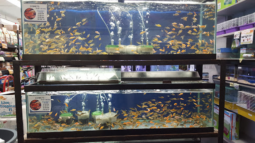 Pet Store «Petland Discounts - Parkchester», reviews and photos, 1949 Westchester Ave, Bronx, NY 10462, USA