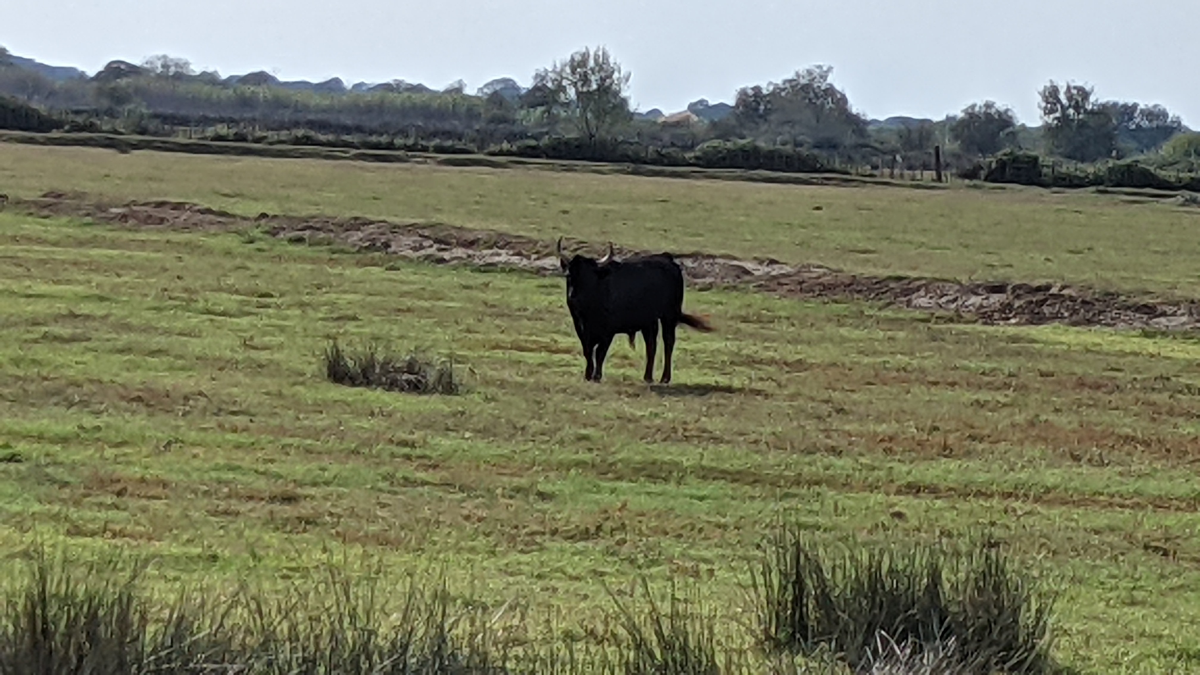 Photo n° 2 de l'avis de Aimé.I fait le 21/09/2021 à 19:32
