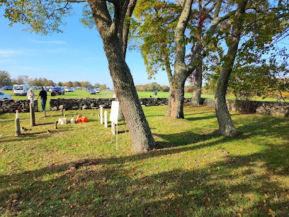 Rhode Island Historical Cemetery: Tiverton No. 4