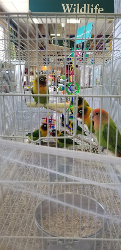 Pet Supply Store «Concord Feed Pet & Livestock Supplies», reviews and photos, 228 Hookston Rd, Pleasant Hill, CA 94523, USA