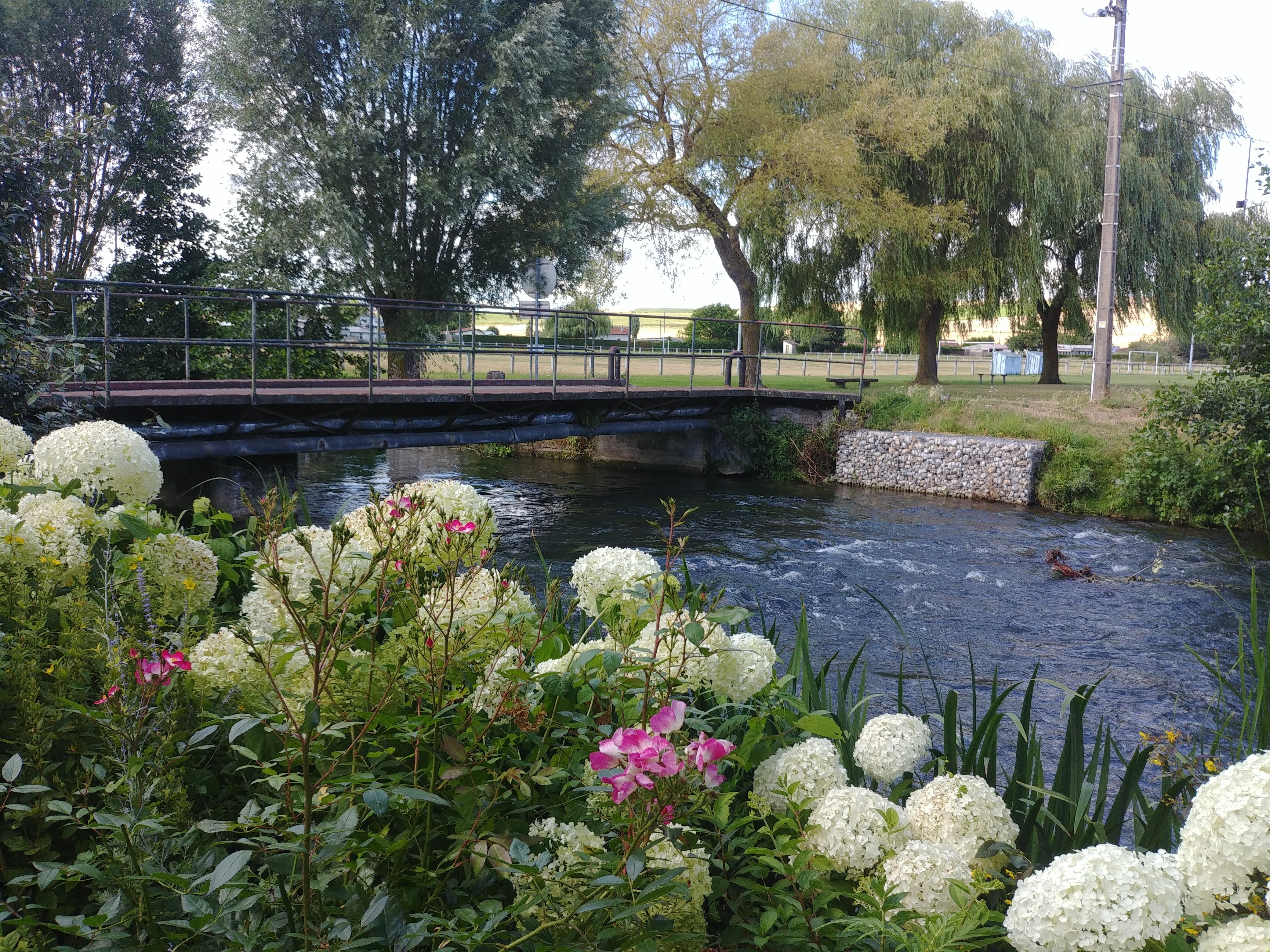 Photo n° 17 de l'avis de Dominique.o fait le 18/06/2022 à 21:47