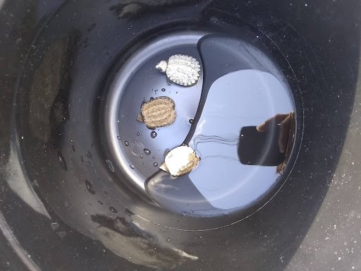 Supermarket «Super Stop & Shop», reviews and photos, 375 Centre Ave, Abington, MA 02351, USA