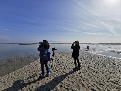Olivier Noël - Guide en Baie de Somme à Saint-Valery-sur-Somme