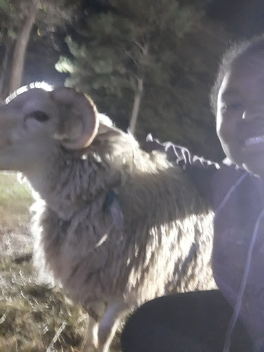 Park «Clark Community Park», reviews and photos, 111 Davis Rd, Stockbridge, GA 30281, USA