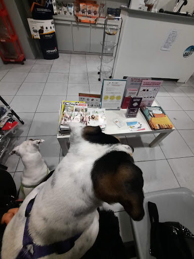 Clínica Veterinaria Palacios en Madrid