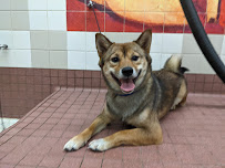Pet Food Express - Photo 7 - Car repair in Oakland, CA, Oakland