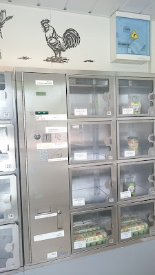 Oeufs Bio En Libre Service 7j/7 à Saint-Jean-de-Beugné