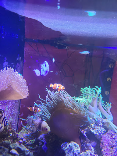 Pet Supply Store «Petco Animal Supplies», reviews and photos, 13691 Ridgedale Dr, Minnetonka, MN 55305, USA