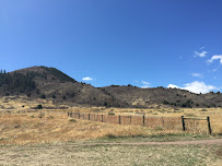 Sterling Tax Services