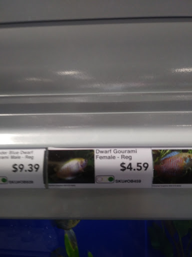 Pet Supply Store «Pet Supermarket, Inc.», reviews and photos, 9579 Bill Arp Rd #21, Douglasville, GA 30135, USA