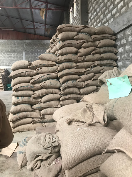 サラムストアトレーディング合同会社（エチオピアコーヒー生豆輸入卸）