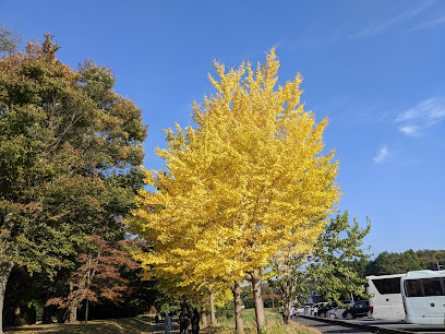 笠松運動公園 第4駐車場