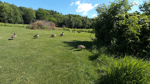 Non-Profit Organization «Aldo Leopold Nature Center», reviews and photos, 330 Femrite Dr, Madison, WI 53716, USA