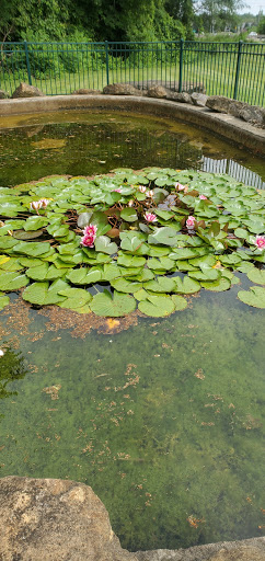 Miniature Golf Course «Willow Creek Golf & Sports Center», reviews and photos, 3120 S Lapeer Rd, Lake Orion, MI 48359, USA