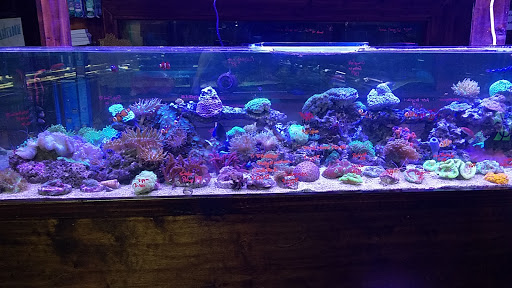 Pet Store «Fish R Us», reviews and photos, 10855 TX-242, Conroe, TX 77385, USA