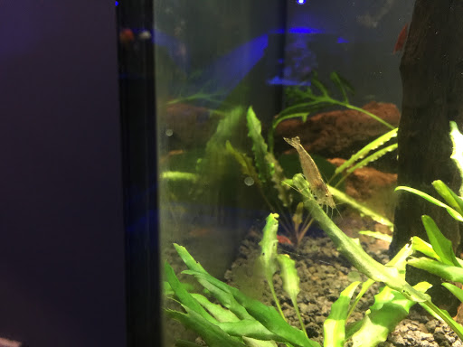 Aquarium «Aquatica», reviews and photos, 800 Clanton Rd H, Charlotte, NC 28117, USA