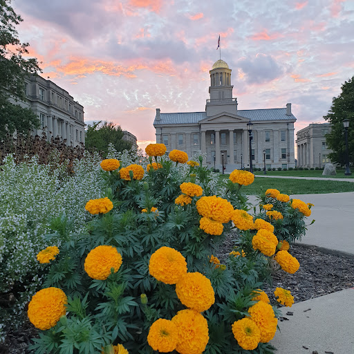 Public University «The University of Iowa», reviews and photos