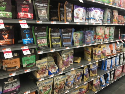 Pet Supply Store «Pet Supplies Plus», reviews and photos, 107 Erie Blvd W, Rome, NY 13440, USA