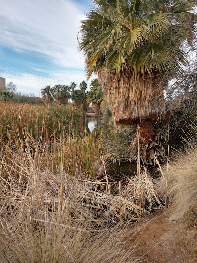 Park «Evelyn Hallman Park», reviews and photos, 1900 N College Ave, Tempe, AZ 85281, USA