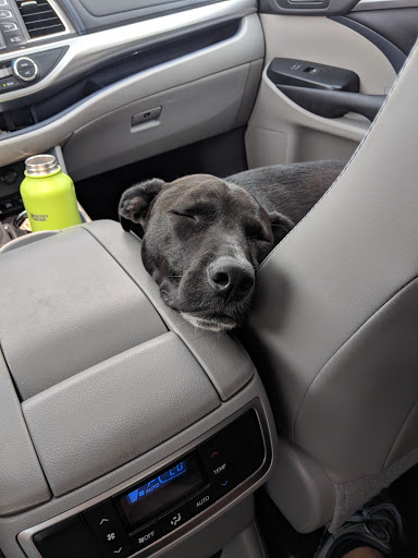 Pet Supply Store «Petco Animal Supplies», reviews and photos, 848 N Colony Rd c, Wallingford, CT 06492, USA