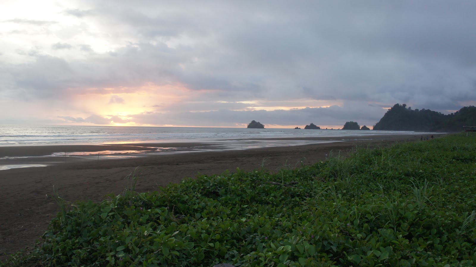 Foto av Jaque Beach med brunsand yta