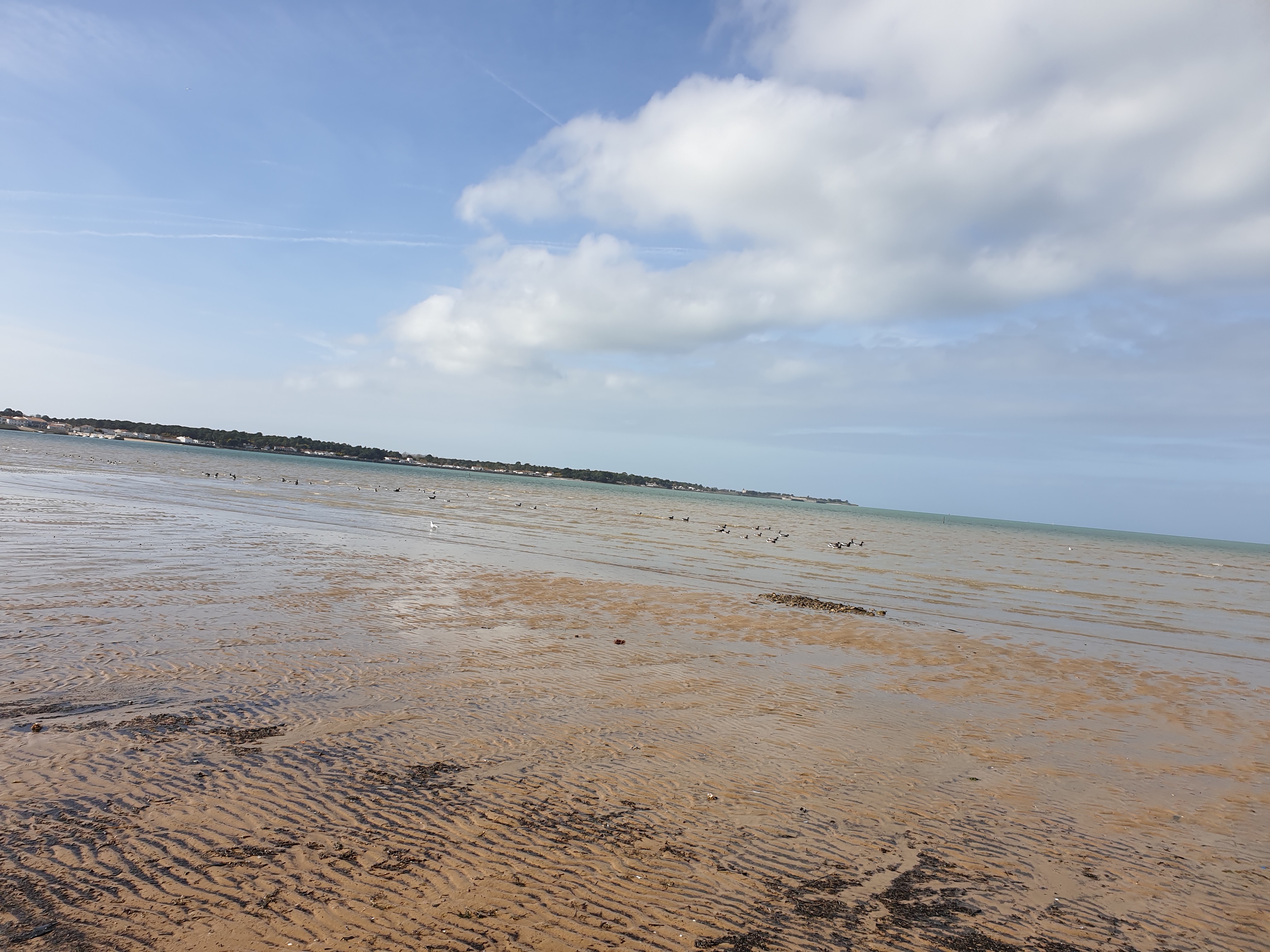 Photo n° 5 de l'avis de Laurence. fait le 03/03/2019 à 12:51