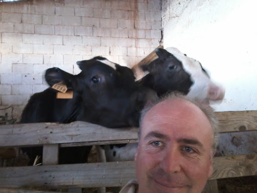 Sanizoo Servicios Veterinarios Sl en Socuéllamos