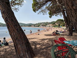Foto di Spiaggia di Agay con costa lunga e dritta