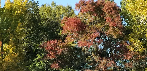 Winery «Purple Toad Winery», reviews and photos, 4275 Old US Hwy 45 S, Paducah, KY 42003, USA