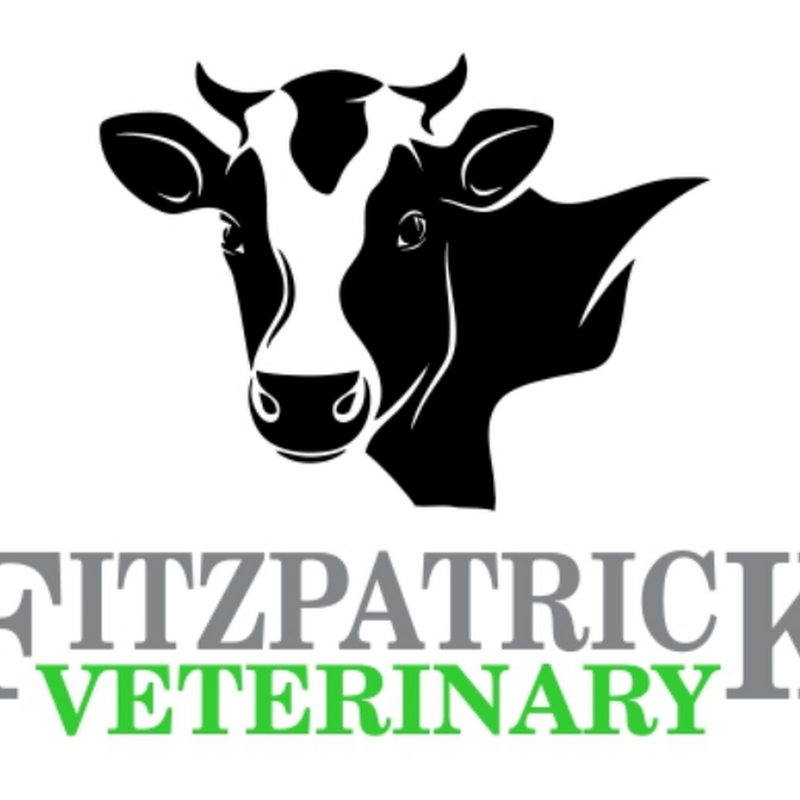 Fitzpatrick's Veterinary Practice