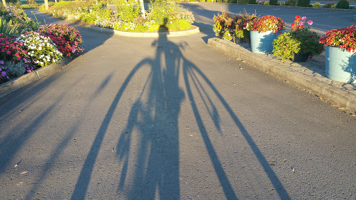 Golf Course «Chehalem Glenn Golf Course», reviews and photos, 4501 E Fernwood Rd, Newberg, OR 97132, USA