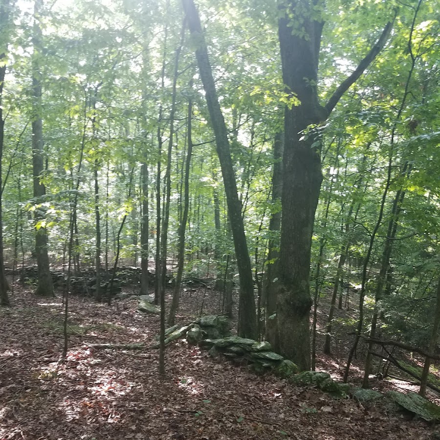 Dunhamtown Forest and Dunham Woods Preserve