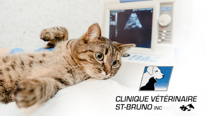 Clinique Veterinaire-St-Bruno
