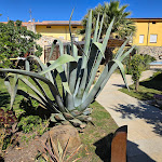 Photo n°2 de l'avis de 19Beach73. fait le 13/05/2024 à 19:36 sur le  Maison Tresnuraghes à Tresnuraghes