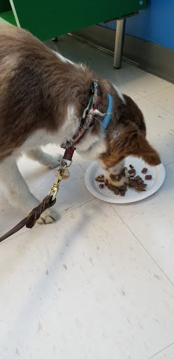 Pet Supply Store «Natural Pet Center», reviews and photos, 3037 13th Ave S, Fargo, ND 58103, USA