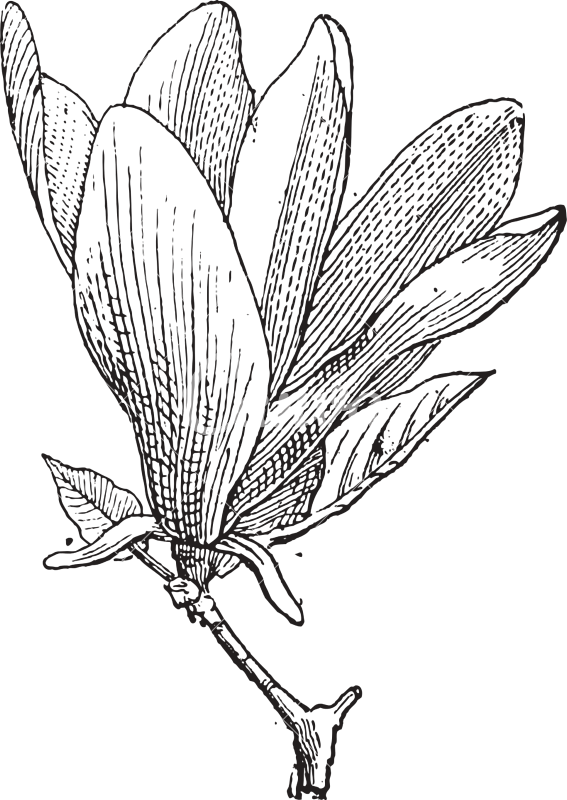 Dr. Angela's Cosmetic Skin Clinic 24148