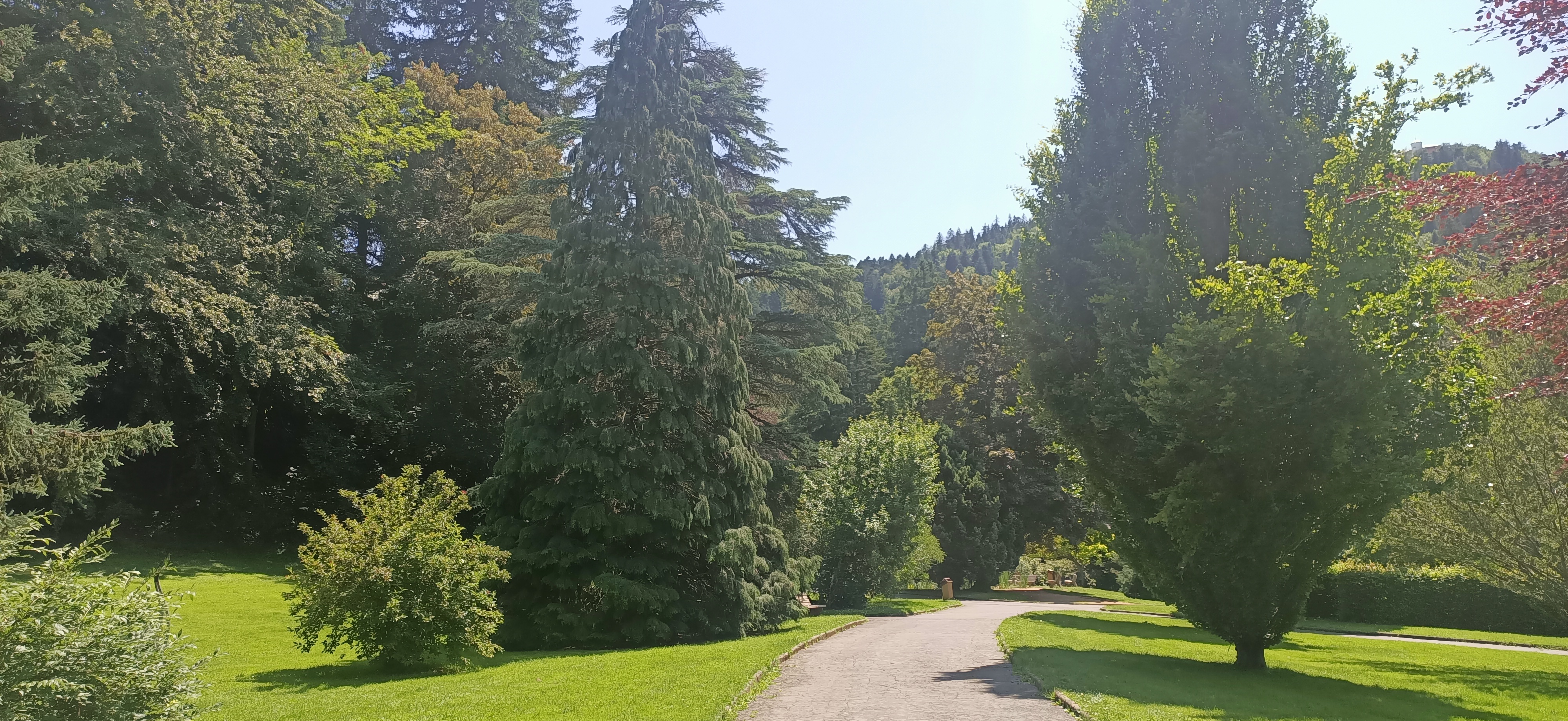 Photo n° 4 de l'avis de Yan.E fait le 06/07/2023 à 13:13