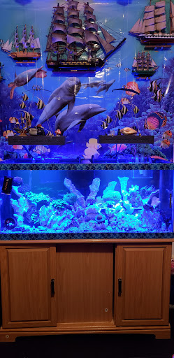 Pet Store «Jules Pet Shop», reviews and photos, 2214 N Milwaukee Ave, Chicago, IL 60647, USA