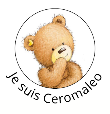 Ceromaleo (Je suis Ceromaleo) à Aurillac