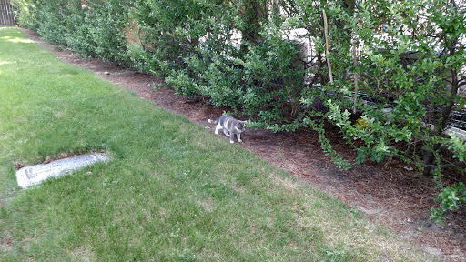 Cemetery «Memorial Mountain View Mortuary, Cemetery and Pet Garden», reviews and photos, 3115 Bengal Blvd, Cottonwood Heights, UT 84121, USA