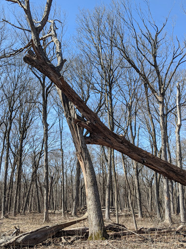 Nature Preserve «Captain Daniel Wright Woods Forest Preserve», reviews and photos, 24830 N St Marys Rd, Mettawa, IL 60045, USA