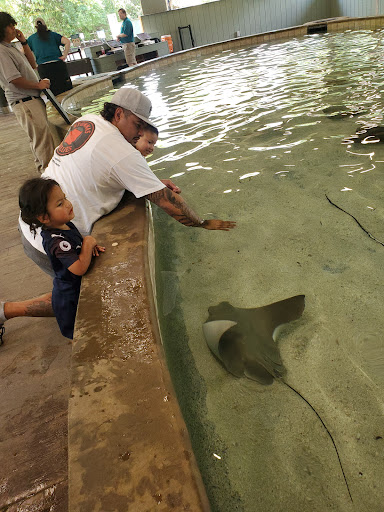 Zoo «Sedgwick County Zoo», reviews and photos, 5555 Zoo Boulevard, Wichita, KS 67212, USA